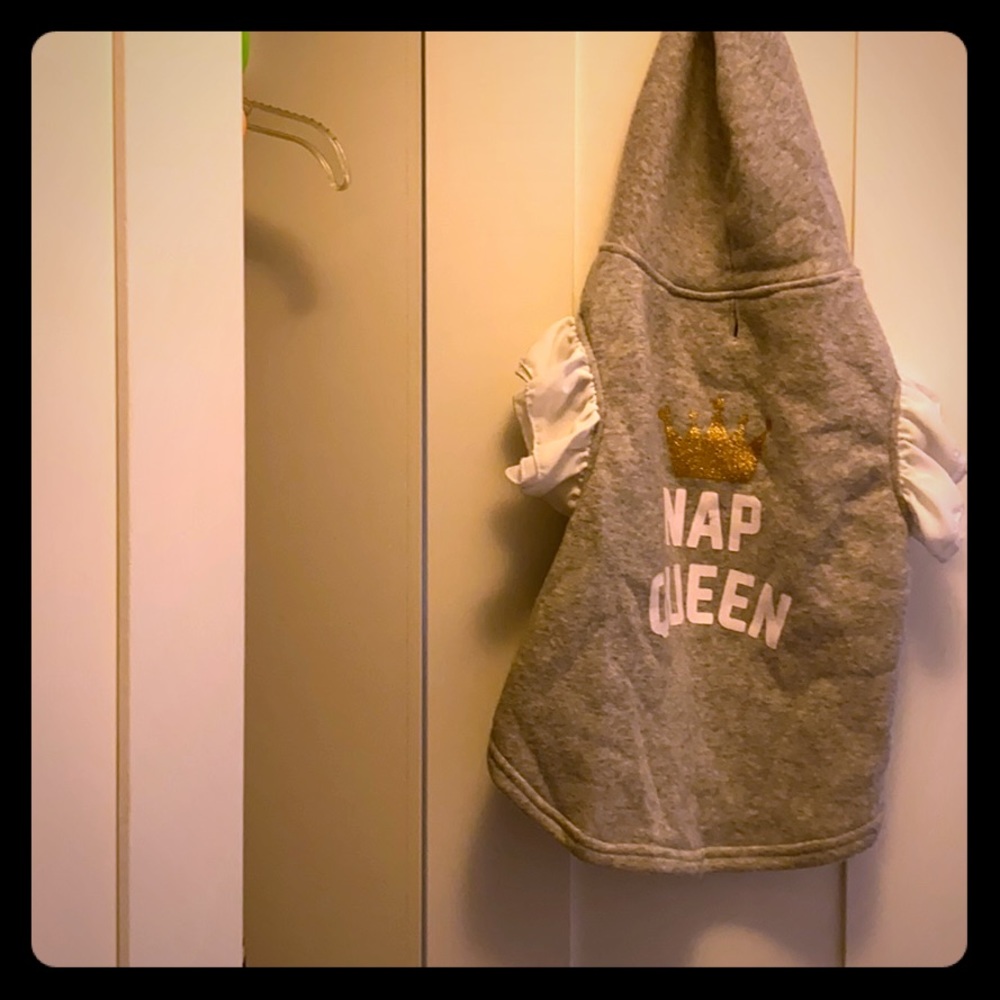 Dog hoodie